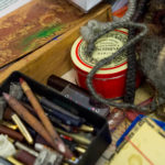 Backstage beim ECV 2016