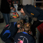 Abbau nach der Kampagne 2016