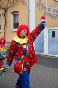 ECV beim Umzug in Erbach 2016