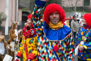 ECV beim Umzug in Erbach 2016