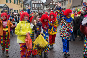ECV beim Umzug in Erbach 2016