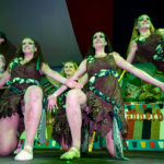 Showballett Silaville, Eltville - Tarzan und Jane