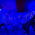 Die Rieslingsterne, Eltville - Disco 25